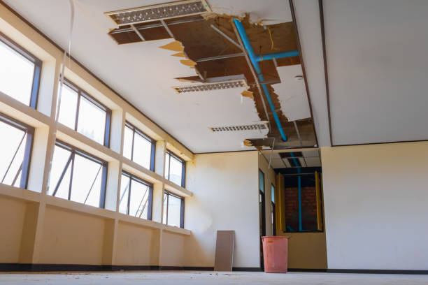 Best Emergency water damage restoration  in Elmore, AL
