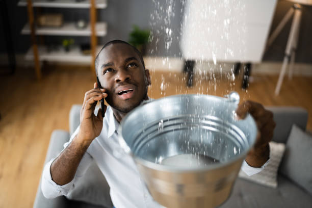 Best Local water damage restoration  in Elmore, AL