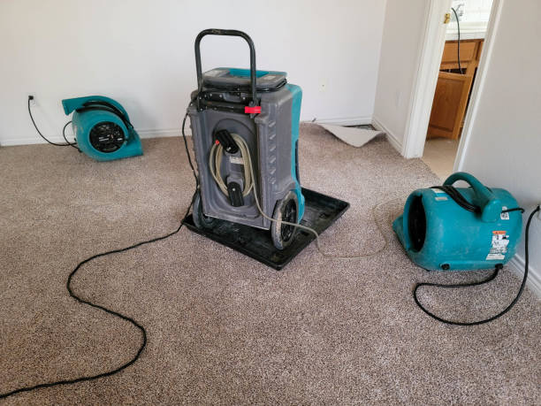 Best Flooded house restoration  in Elmore, AL