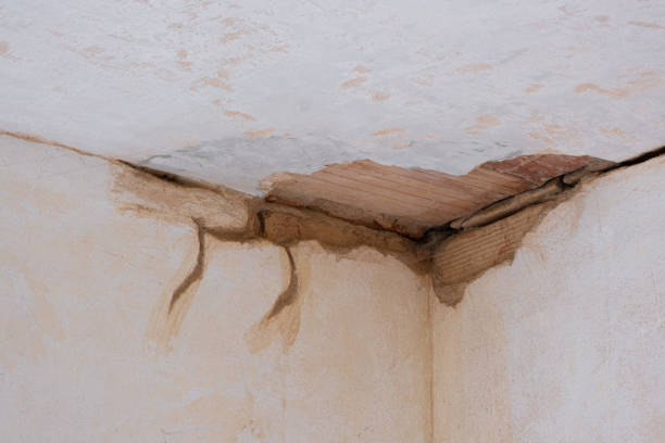 Trusted Elmore, AL Water damage restoration Experts