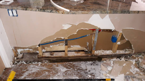 Best Basement water damage restoration  in Elmore, AL