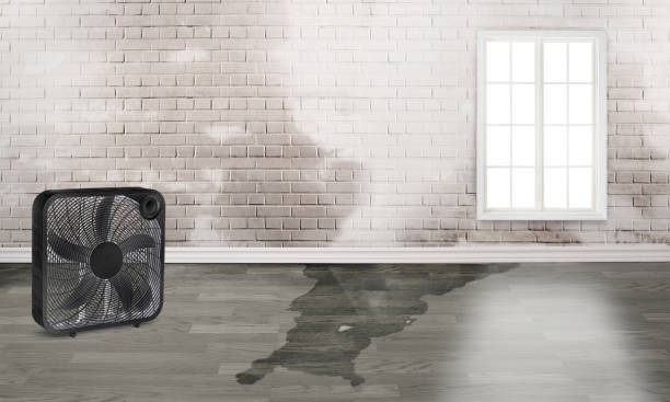 24/7 water damage repair in Elmore, AL