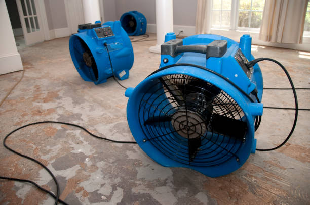 Best Mold removal after water damage  in Elmore, AL