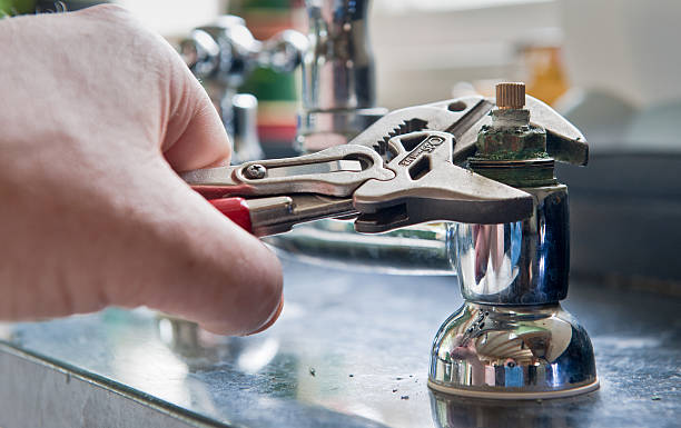 Best Mold removal after water damage  in Elmore, AL