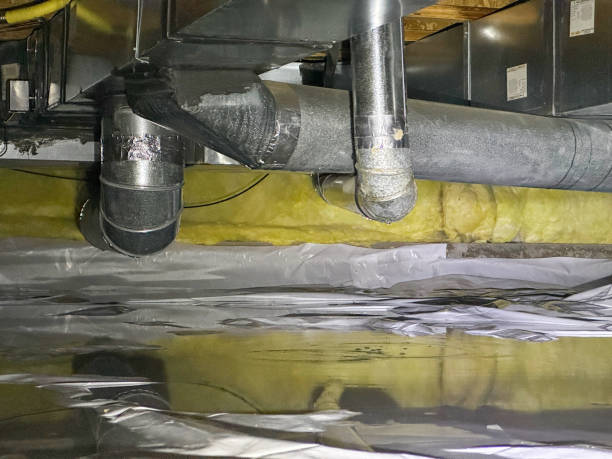 Best Water damage restoration near me  in Elmore, AL
