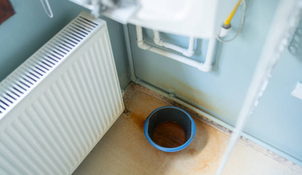 Best Sewage cleanup and water damage restoration  in Elmore, AL