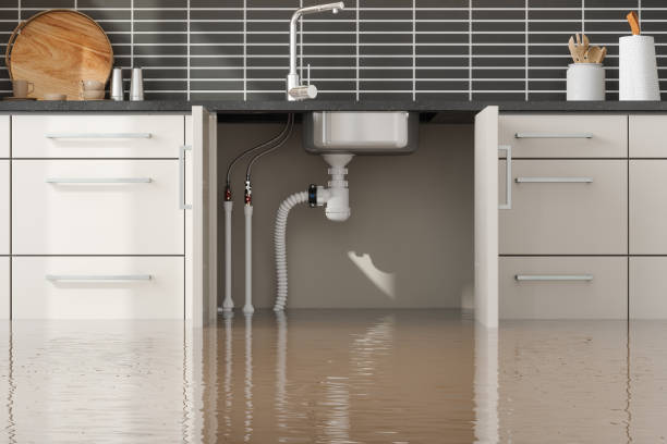 Best Residential water damage restoration  in Elmore, AL