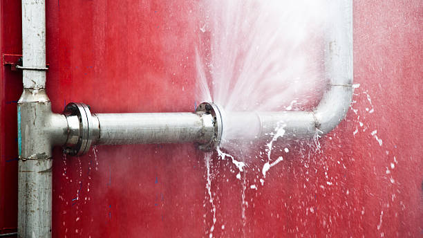Best Basement water damage restoration  in Elmore, AL