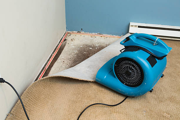 Best 24-hour water damage restoration  in Elmore, AL